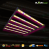 SpectraWILD M650 - Full Spectrum LED horticultural bars - 650W - 120x120 - Samsung