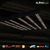 kopie van SpectraWILD L900 PRO - Full Spectrum LED tuinbouwbalken - 900W - 150x150 - Samsung