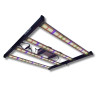 SpectraWILD S320 - Barres horticoles LEDs Full Spectrum - 320W - 80x80 - Samsung