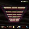 SpectraWILD M420 - Barres horticoles LEDs Full Spectrum - 420W - 120x60 - Samsung