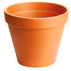 Pot Standard Ancestral Ø17