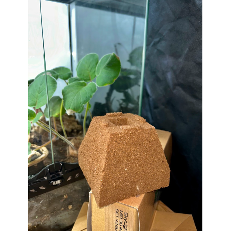 TerraPyramid Mini 12 × 12 × 10 cm (1.5 L) – Bloc de culture tout-en-un coco & tourbe