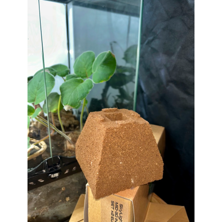TerraPyramid Mini 12 × 12 × 10 cm (1.5 L) – Bloc de culture tout-en-un coco & tourbe