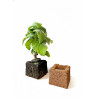 TerraBloc 7.5 x 7.5 x 6 cm – Cube de culture coco & tourbe prêt à l’emploi