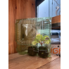 Boîte de transport pour plantes