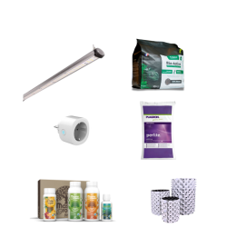 Pack Plantes d’Intérieur