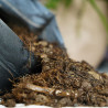 Pack Plantes d’Intérieur