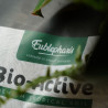 Pack Plantes d’Intérieur