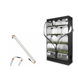 Pack Probox