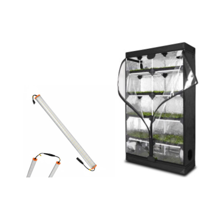 Pack Probox