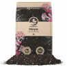 Hoya Mix 5L - SYBASoil substraat