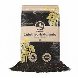 Calathea & Maranta Mix - Premium Soil Mix 5L - Substrat SYBASoil