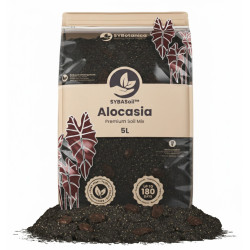 Alocasia Mix - Premium Soil Mix 5L - Substrat SYBASoil