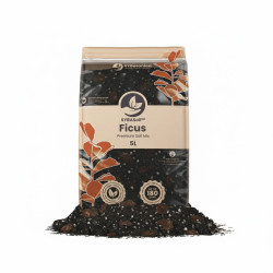 Ficus Mix - Premium Soil Mix 5L - Substrat SYBASoil