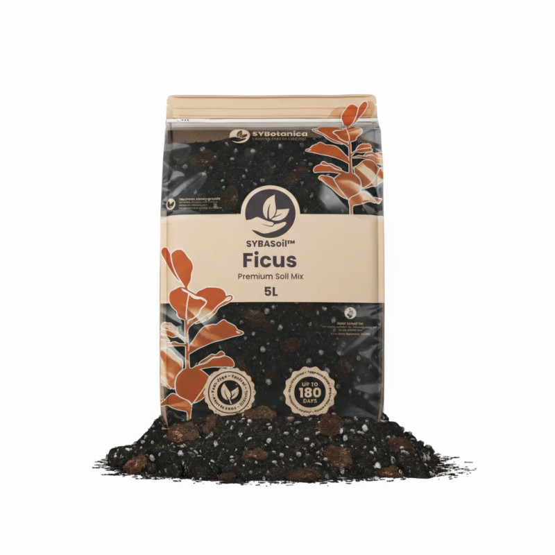 Ficus Mix 5L - SYBASoil Substrat