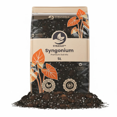 Syngonium Mix 5L - SYBASoil substraat