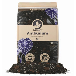 Anthurium Mix - Premium Soil Mix 5L - Substrat SYBASoil