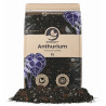 Anthurium Mix 5L - SYBASoil Substrat