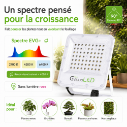 Spot LED V5 pour terrariums et murs végétaux | TerraLED