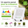 GVL SPOT V5 - LED-verlichting voor beplante terraria en groene wanden - 30 tot 200W | TerraLED