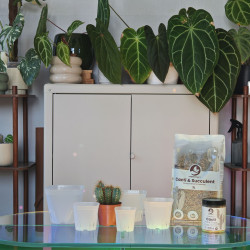 Mélange minéral cactées et plantes grasses 3L - SYBASoil