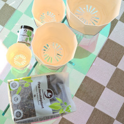 Fijne Kamerplanten Mineralenmix 5L - SYBASoil substraat