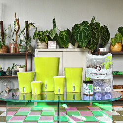 Fijne Kamerplanten Mineralenmix 5L - SYBASoil substraat