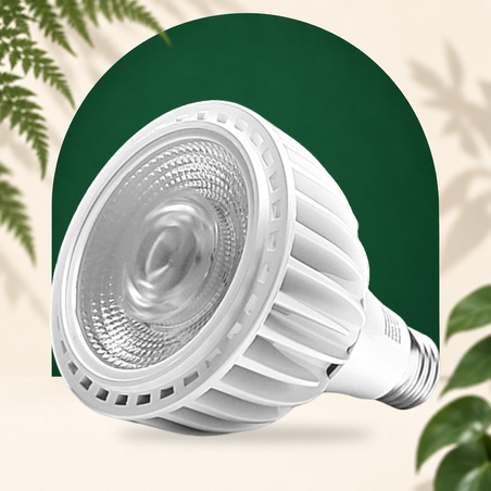 SpectraBULB X20 – Weiße Gartenzwiebel für Grünpflanzen