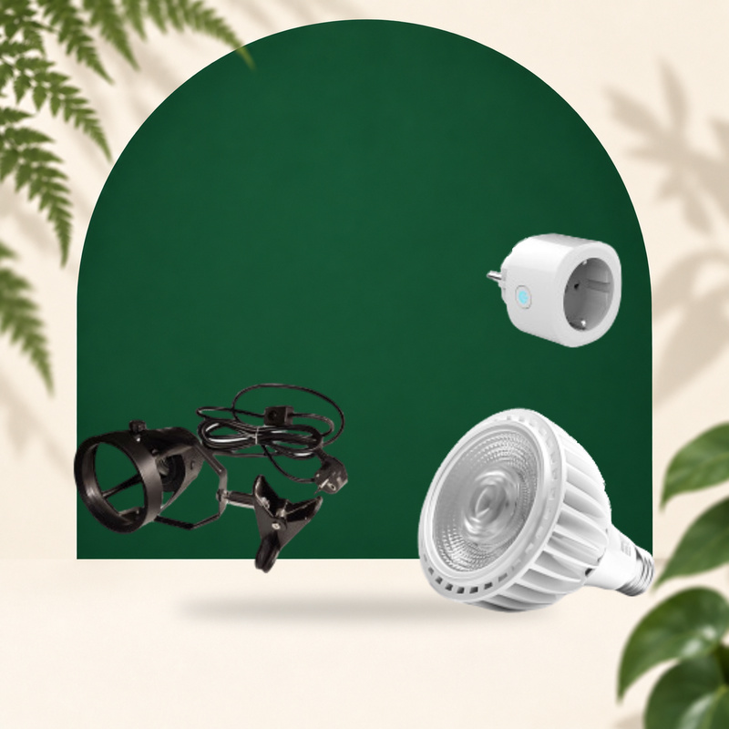 Lampen-Set x20
