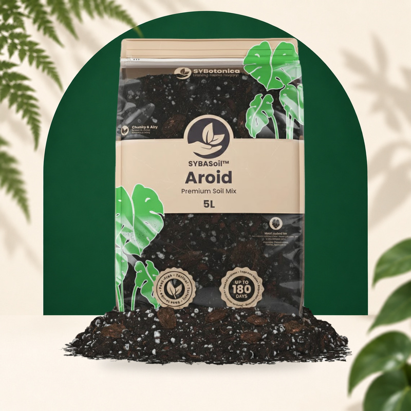 Aronstab Mix 5L - SYBASoil Substrat