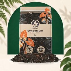 Syngonium Mix 5L - SYBASoil substraat