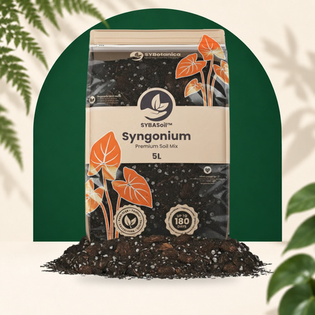 Syngonium Mix 5L - SYBASoil Substrat