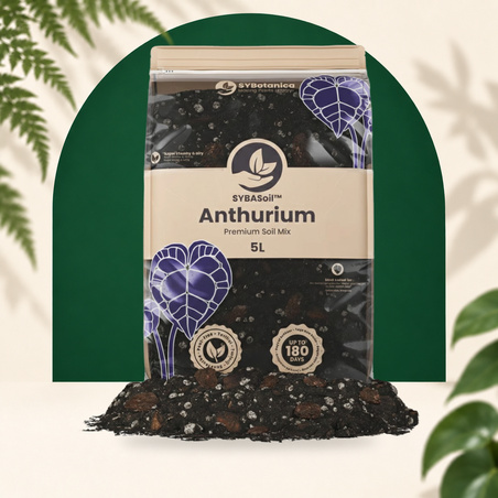 Anthurium Mix 5L - SYBASoil substrate