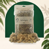 Sphagnum Moss 5L - SYBASoil substrate