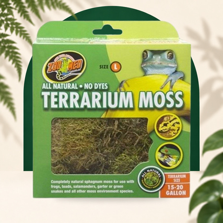 Mousse pour Terrarium - Différentes tailles