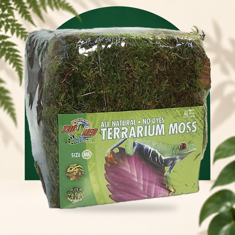 Terrarium Foam 5.6L