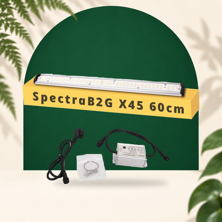 SpectraB.2.G X45 60cm - Barre horticole LEDs pour croissance & floraison