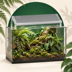 Skylight MID-2H über einem bepflanzten Terrarium · Anwendungsszene