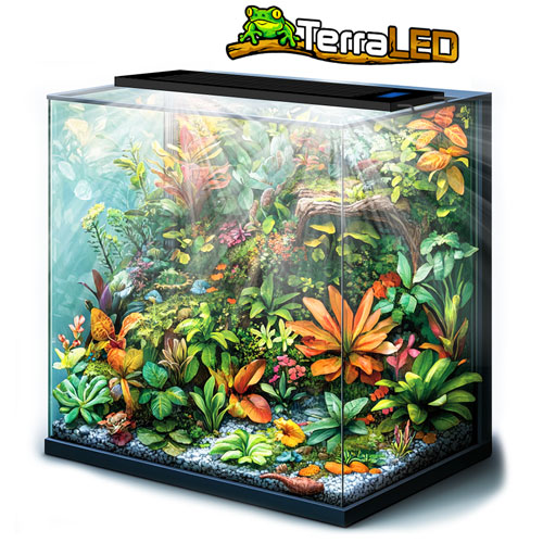 TM PRO TerraLED en conditions réelles — terrarium tropical planté