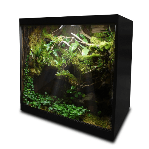 eclairage horticole led terrarium lampe plantes