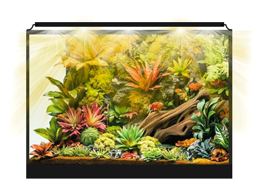 Terrarium tropical éclairé par TM PRO TerraLED