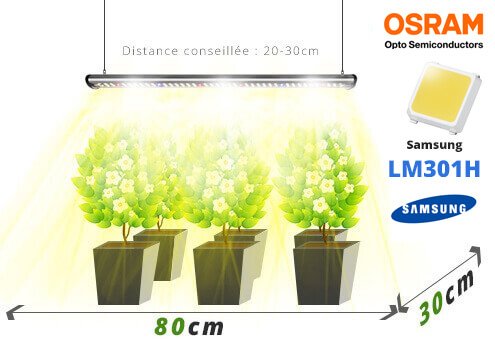 Oppervlakteverlichting tuinbouwlamp LED's balk specrab2g