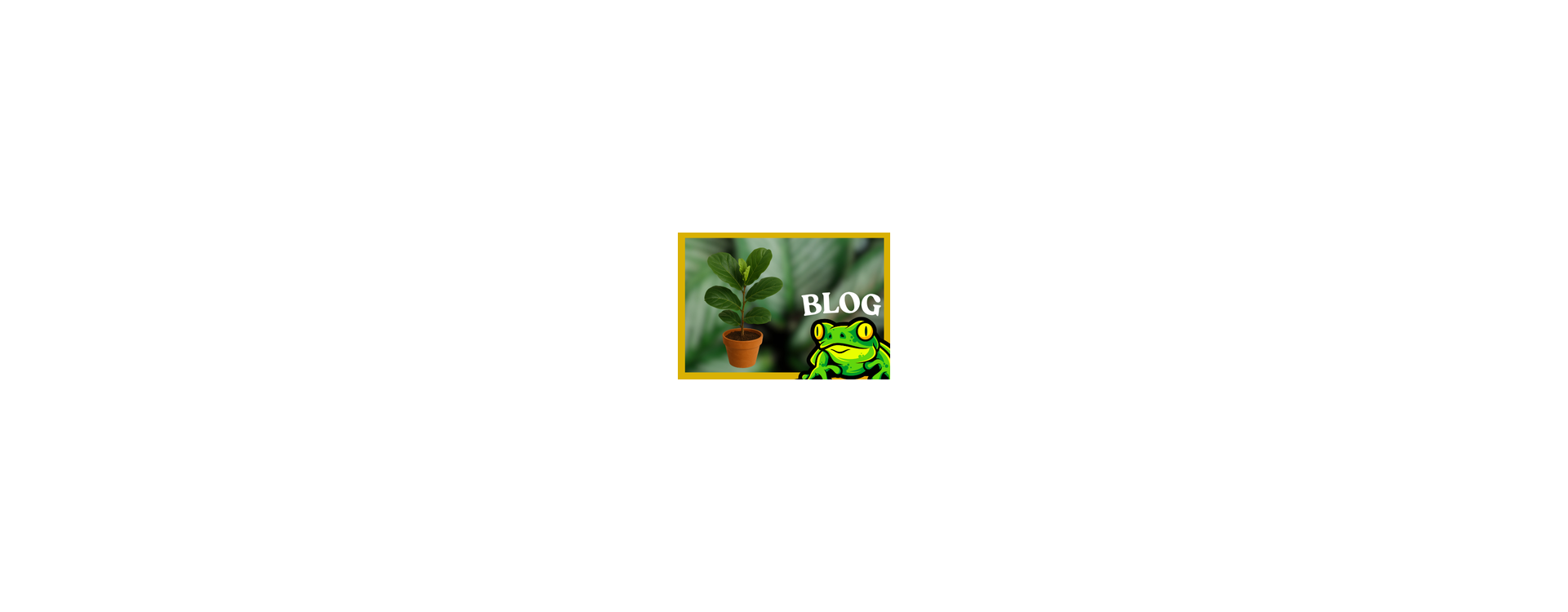 Ficus Lyrata – Complete kweekgids met LED-verlichting