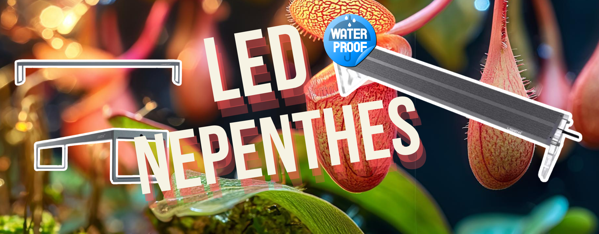 Wählen Sie eine wasserdichte LED-Gartenbeleuchtung für Ihre Nepenthes-Terrarien