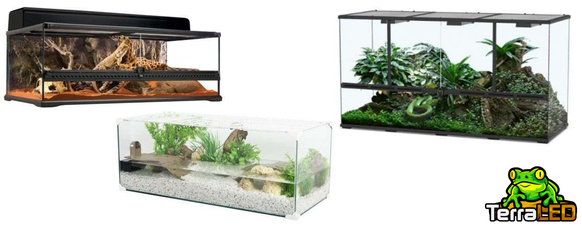 Welche verschiedenen Terrarientypen gibt es? Ihre Vor- und Nachteile!