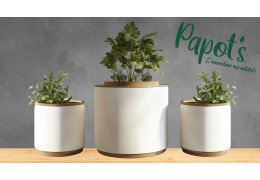 Les caches-pots Papot's : l'alliance parfaite entre design et fonctionnalité pour sublimer vos plantes !