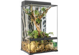 Quels sont les différents types de terrarium ? Leurs avantages et leurs inconvénients !