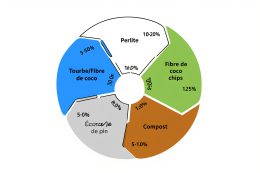 Meilleur terreau pour les plantes tropicales : guide complet