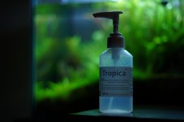 Engrais tropi : fertiliser vos plantes avec un engrais liquide nutrition