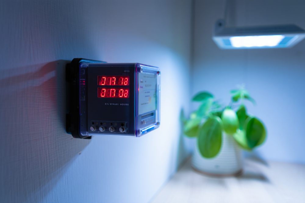 Consommation lampe horticole : coût réel LED vs HPS en 2025